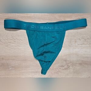 Todd Sanfield Teal Mens Thong